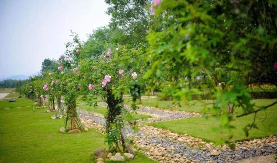 Flamingos Dai Lai Resort - Luxury Ngoc Quang エクステリア 写真