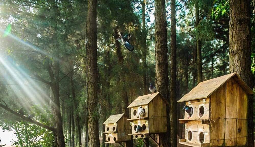 Flamingos Dai Lai Resort - Luxury Ngoc Quang エクステリア 写真